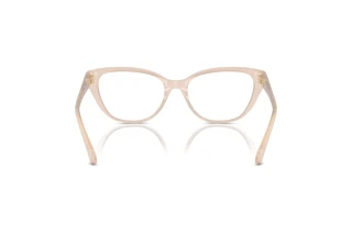 Vue arrière Jimmy Choo JC3011 (5025)