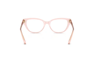 Vue arrière Jimmy Choo JC3011 (5034)