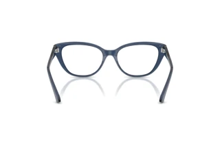 Vue arrière Jimmy Choo JC3011 (5035)