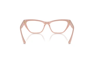 Vue arrière Jimmy Choo JC3014 (5014)