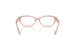 Vue arrière Jimmy Choo JC3015 (5014)