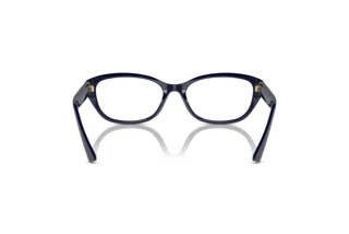 Vue arrière Jimmy Choo JC3015 (5023)