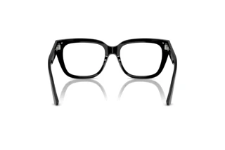 Vue arrière Jimmy Choo JC3019B (5000)