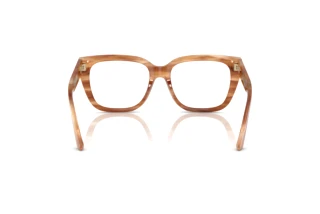 Vue arrière Jimmy Choo JC3019B (5055)