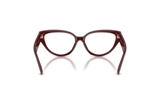 Vue arrière Jimmy Choo JC3023HU (5057)