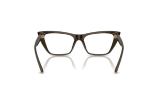 Vue arrière Jimmy Choo JC3025 (5060)