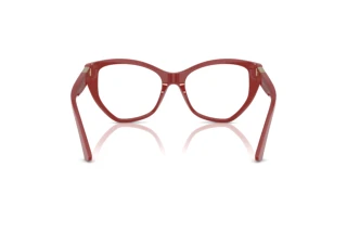 Vue arrière Jimmy Choo JC3026 (5013)