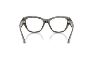 Vue arrière Jimmy Choo JC3033BU (5063)