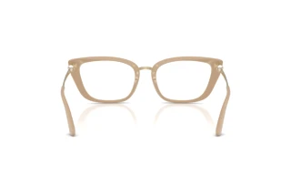 Vue arrière Jimmy Choo JC3034HB (5015)