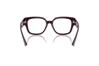 Vue arrière Jimmy Choo JC3042B (5075)