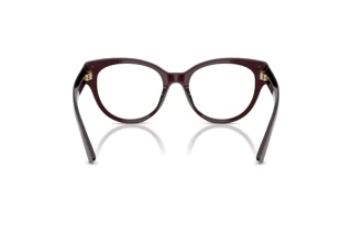 Vue arrière Jimmy Choo JC3050U (5086)