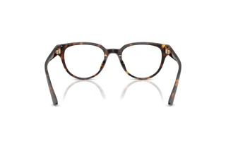 Vue arrière Jimmy Choo JC3051D (5002)