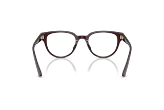 Vue arrière Jimmy Choo JC3051D (5086)