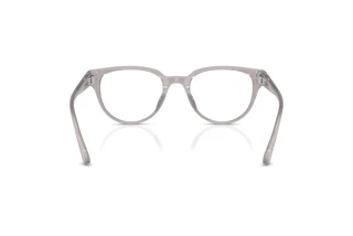 Vue arrière Jimmy Choo JC3051D (5096)