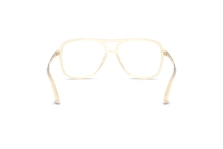 Vue arrière Jimmy Choo JC3052U (5089)