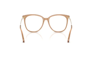 Vue arrière Jimmy Choo JC3060 (5076)