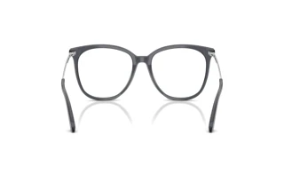 Vue arrière Jimmy Choo JC3060 (5106)