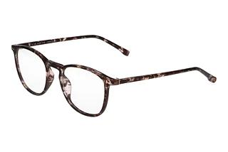 Joop 86007 5101 Braun
