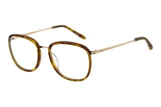 Maje 421012 202 Orange