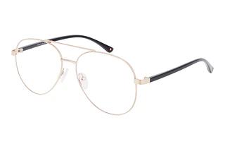 Montana MM599 C Gold/Gold
