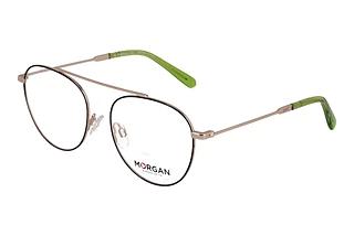 Morgan 203202 6000 Gold