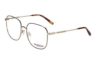 Morgan 203258 5100 Braun