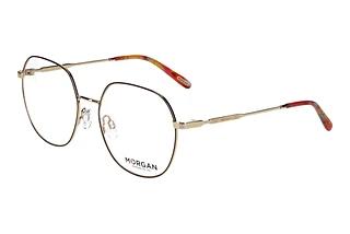 Morgan 203259 5100 Braun