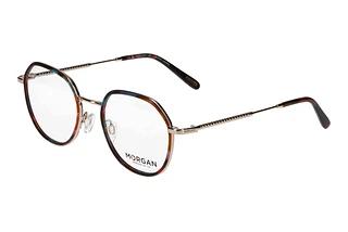 Morgan 203267 5425 Braun
