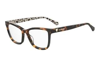 Moschino MOL632 H7P HAVANNA