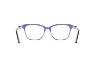 Vue arrière Nike NIKE 5063 (409)