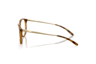 Vue latérale Oakley BMNG (OX8150 - 815002)