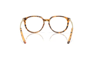 Vue arrière Oakley BMNG (OX8150 - 815007)