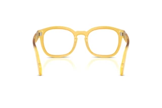 Vue arrière Persol PO0082V (204)