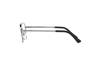 Vue latérale Persol PO1010V (513)