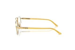 Vue latérale Persol PO1020V (1129)