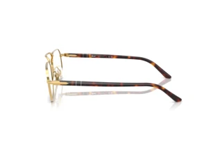 Vue latérale Persol PO1020V (515)