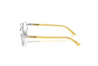 Vue latérale Persol PO1020V (518)