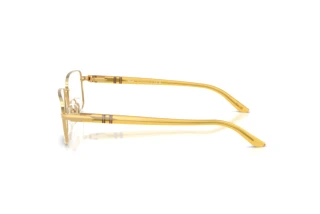 Vue latérale Persol PO1029V (1129)