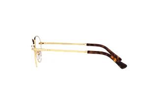 Vue latérale Persol PO2491V (1142)