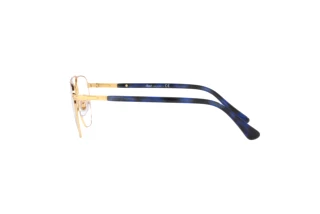 Vue latérale Persol PO2494V (1141)