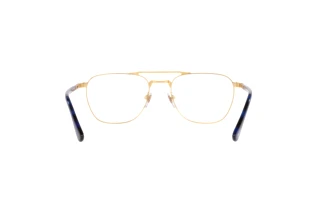 Vue arrière Persol PO2494V (1141)