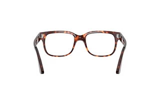Vue arrière Persol PO3252V (24)