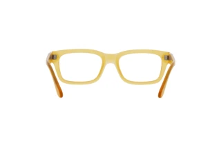 Vue arrière Persol PO3301V (204)