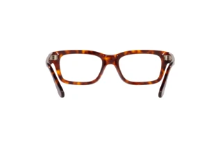 Vue arrière Persol PO3301V (24)