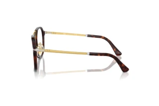 Vue latérale Persol PO3352V (24)