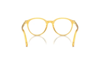 Vue arrière Persol PO3353V (204)