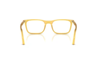 Vue arrière Persol PO3358V (204)