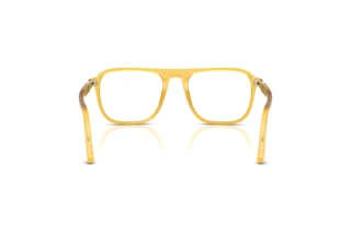 Vue arrière Persol JACQUES (PO3359V - 204)