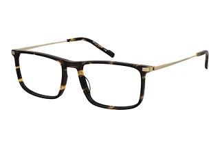 Pierre Cardin P.C. 6289 086 HAVANNA