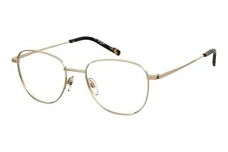 Pierre Cardin P.C. 6917 J5G GOLD